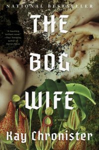 book cover of Kay Chronister's horror-infused Appalachian Gothic novel "The Bog Wife"