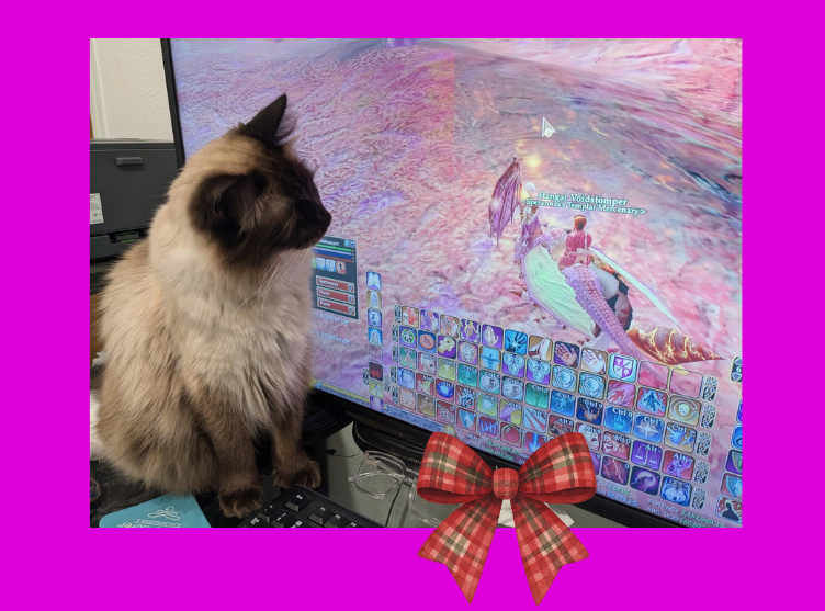 cat trying to play video game